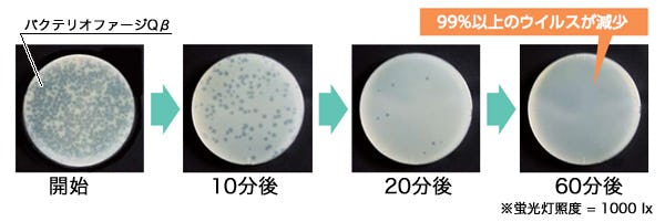 ウイルス抑制効果実験
