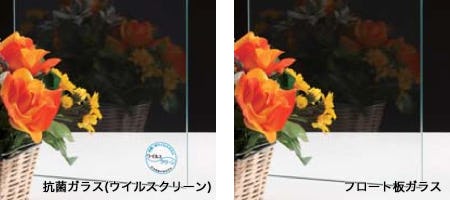 ウイルスクリーンガラス